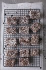 Top view of Australian Lamingtons on baking tray — Stock Photo