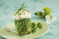 Spring vegetables with cheese — Stock Photo