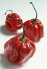 West Indian red peppers — Stock Photo