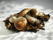 Raw Ceps laying on white textile surface — Stock Photo