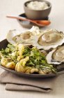 Oysters with fresh herb tempuras — Stock Photo