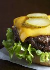 Hamburger di manzo alla griglia — Foto stock