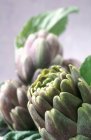 Alcachofas frescas de Poivrade - foto de stock