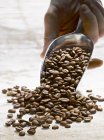 Coffee beans on server — Stock Photo