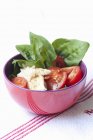 Tomato salad with spinach — Stock Photo