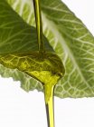 Aceite de oliva que cae sobre la hoja de lechuga - foto de stock