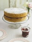 Gâteau éponge Victoria — Photo de stock