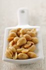 Closeup view of peanuts heap on white dish — Stock Photo