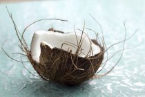 Metà fresca di cocco — Foto stock