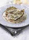 Oysters with creamy truffle sauce — Stock Photo