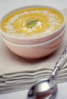 Zuppa di zucca con latte — Foto stock