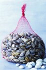 Closeup view of net sack of tellin shellfish with white stones — Stock Photo