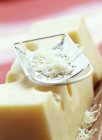 Gruyre fromage et râpe — Photo de stock