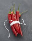 Red chili peppers tied with twine — Stock Photo