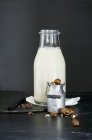 Latte di nocciola fatto in casa — Foto stock
