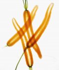 Тонко нарезанная морковь — стоковое фото