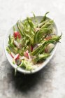 Puntarella and anchovy salad — Stock Photo