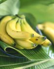Bunch of bananas with leaves — Stock Photo