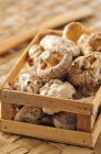 Маленький ящик с сушеными грибами — стоковое фото