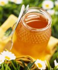 Jar of runny honey — Stock Photo