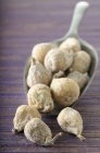 Dried figs in scoop — Stock Photo