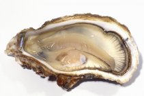 Открыл Oyster from Bouzigues — стоковое фото