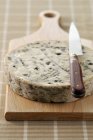 Fourme d'Ambert cheese — Stock Photo