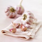 Head of pink garlic — Stock Photo