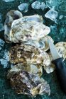 Frische Austern mit Eiswürfeln und Austernmesser — Stockfoto