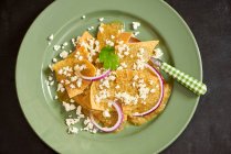 Chilaquiles (fried tortilla) with cheese and red onion rings (Mexico) — Stock Photo