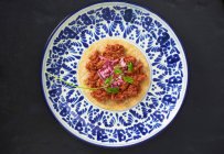 Cochinita Pibil (porc effiloché mexicain)) — Photo de stock