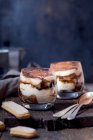 Tiramisu with mascarpone, cocoa, espresso and sponge fingers — Stock Photo