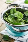 Baby spinach in strainer — Stock Photo