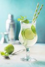 Mojito-Cocktail mit Limette und Minze im eleganten Glas — Stockfoto
