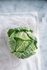 Still life of green cabbage — Stock Photo