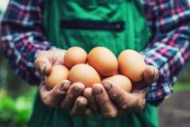Manos sosteniendo huevos frescos - foto de stock