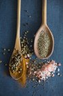 Various spices with two wooden spoons — Stock Photo