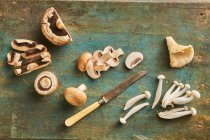 Nature morte de champignons, Champignon châtaignier, Champignon huître, Portobello et Siitake — Photo de stock