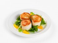 Fried scallops with salad and oranges — Stock Photo