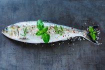A whole raw fish with herbs and spices (top view) — Stock Photo