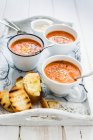 Sopa de tomate frío con orégano, pecorino y pan tostado - foto de stock