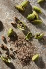Cardamome gousses avec cardamome moulue sur pierre de frais généraux — Photo de stock