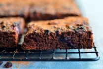 Brownie with blueberries, closeup on tray — Stock Photo