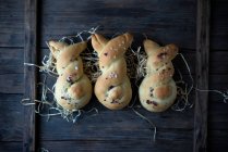 Petits pains à la levure végétalien doux en forme de lapins avec des pointes de sucre — Photo de stock