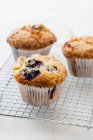 Blueberry Muffin, closeup shot — Stock Photo