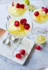 Lemon granita with fresh raspberries in cocktail glasses on a marble platter — Stock Photo