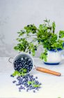 Blueberries with leaves in sieve and jug — Stock Photo