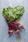 Fresh beets on a metal background — Stock Photo