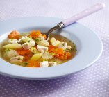 Colorful vegetable stew with greens, carrots, kohlrabi, potatoes and chicken — Stock Photo