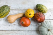 Various pumpkins on a white wooden background — Stock Photo